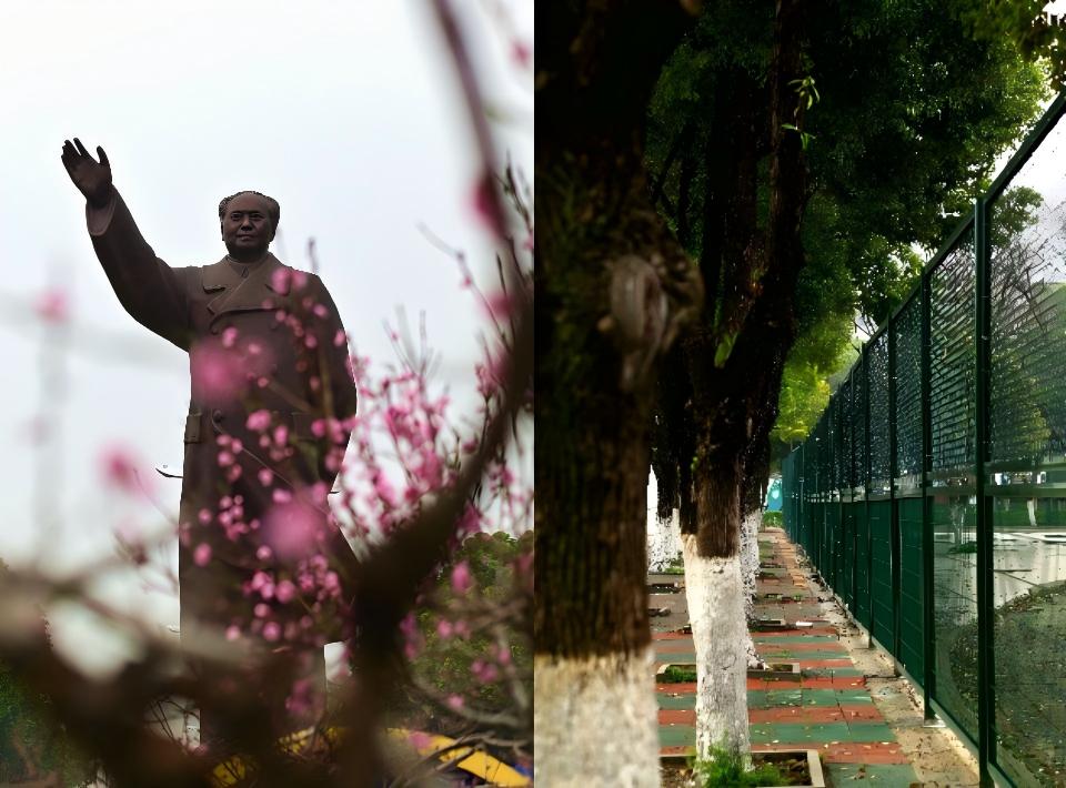 春游江淮赏春色 皖美校园绽芳华 ——院团委组织各系部开展春季主题实践活动